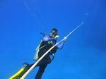 Hawaii Scuba divng 44