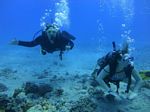 Hawaii Scuba divng 47