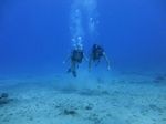 Hawaii Scuba divng 48