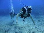 Hawaii Scuba divng 51