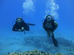 Hawaii Scuba divng 54