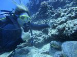 Hawaii Scuba divng 58