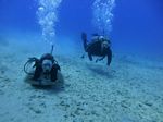 Hawaii Scuba divng 62