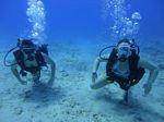 Hawaii Scuba divng 63