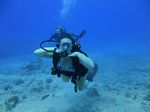 Hawaii Scuba divng 65