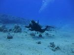 Hawaii Scuba divng 67