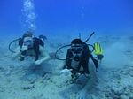 Hawaii Scuba divng 70