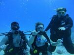 Hawaii Scuba divng 72