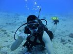 Hawaii Scuba divng 75