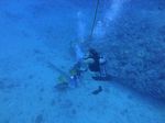 Hawaii Scuba divng 76