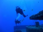 Hawaii Scuba divng 13