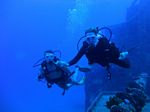 Hawaii Scuba divng 18