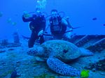 Hawaii Scuba divng 22