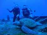 Hawaii Scuba divng 23