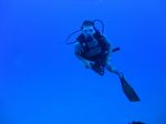 Hawaii Scuba divng 31