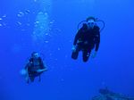 Hawaii Scuba divng 34