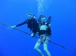 Hawaii Scuba divng 36