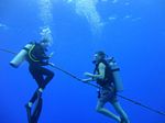 Hawaii Scuba divng 37