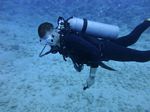 Hawaii Scuba divng 71