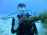 Hawaii Scuba divng 76