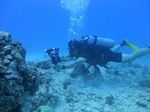 Oahu scuba 11