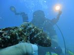 Oahu scuba 14