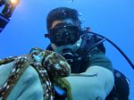Oahu scuba 18
