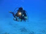 Oahu scuba 24