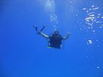 Oahu scuba 55
