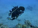 Hawaii Scuba divng 12