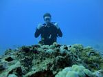 Hawaii Scuba divng 14