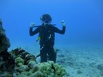 Hawaii Scuba divng 15