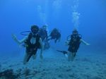 Hawaii Scuba divng 40