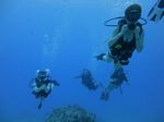 Hawaii Scuba divng 41