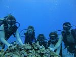 Hawaii Scuba divng 42