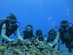 Hawaii Scuba divng 43