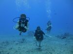 Hawaii Scuba divng 46