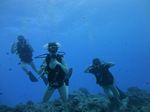 Hawaii Scuba divng 49