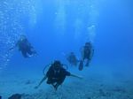 Hawaii Scuba divng 54