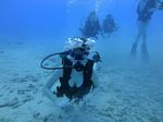 Hawaii Scuba divng 56