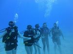 Hawaii Scuba divng 58