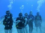 Hawaii Scuba divng 59