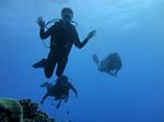 Hawaii Scuba divng 05