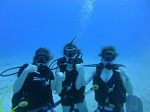 Hawaii Scuba divng 60