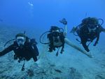 Hawaii Scuba divng 06