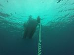 Hawaii Scuba divng 14