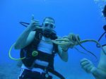 Hawaii Scuba divng 26