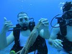 Hawaii Scuba divng 29