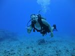 Hawaii Scuba divng 37