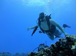 Hawaii Scuba divng 45